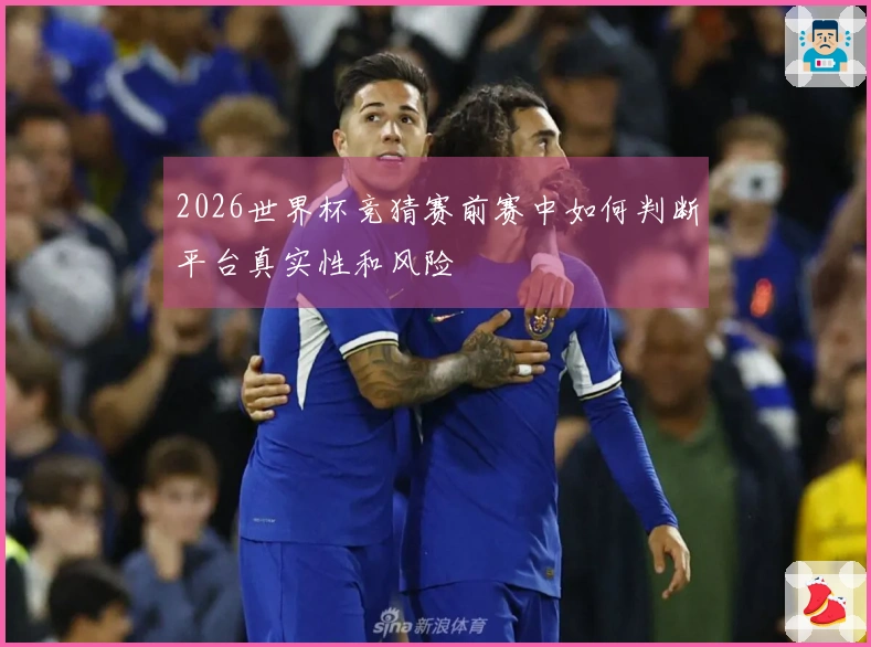 2026世界杯竞猜赛前赛中如何判断平台真实性和风险